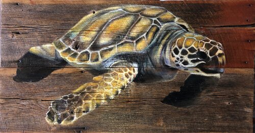 Loggerhead Turtle on Barnwood van Tracy Ostmann Haschke, Schilderij te koop op Singulart