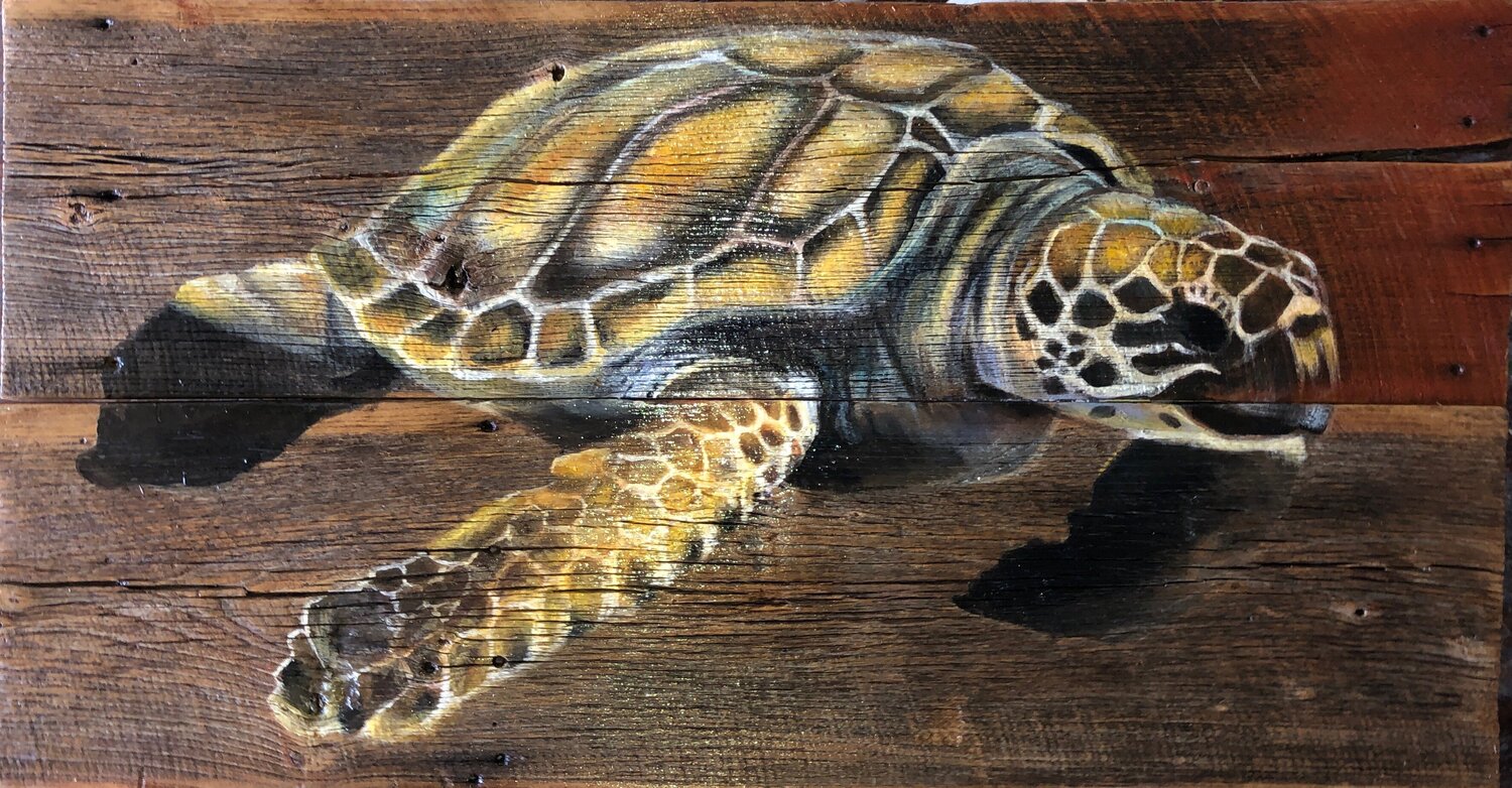 Loggerhead Turtle on Barnwood Tracy Ostmann Haschke