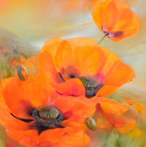 Tröstliche Aussichten - Comforting prospects par Annette Schmucker, Peinture en vente sur Singulart