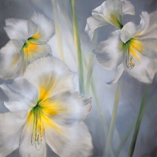 Weiße Amaryllis van Annette Schmucker, Schilderij te koop op Singulart