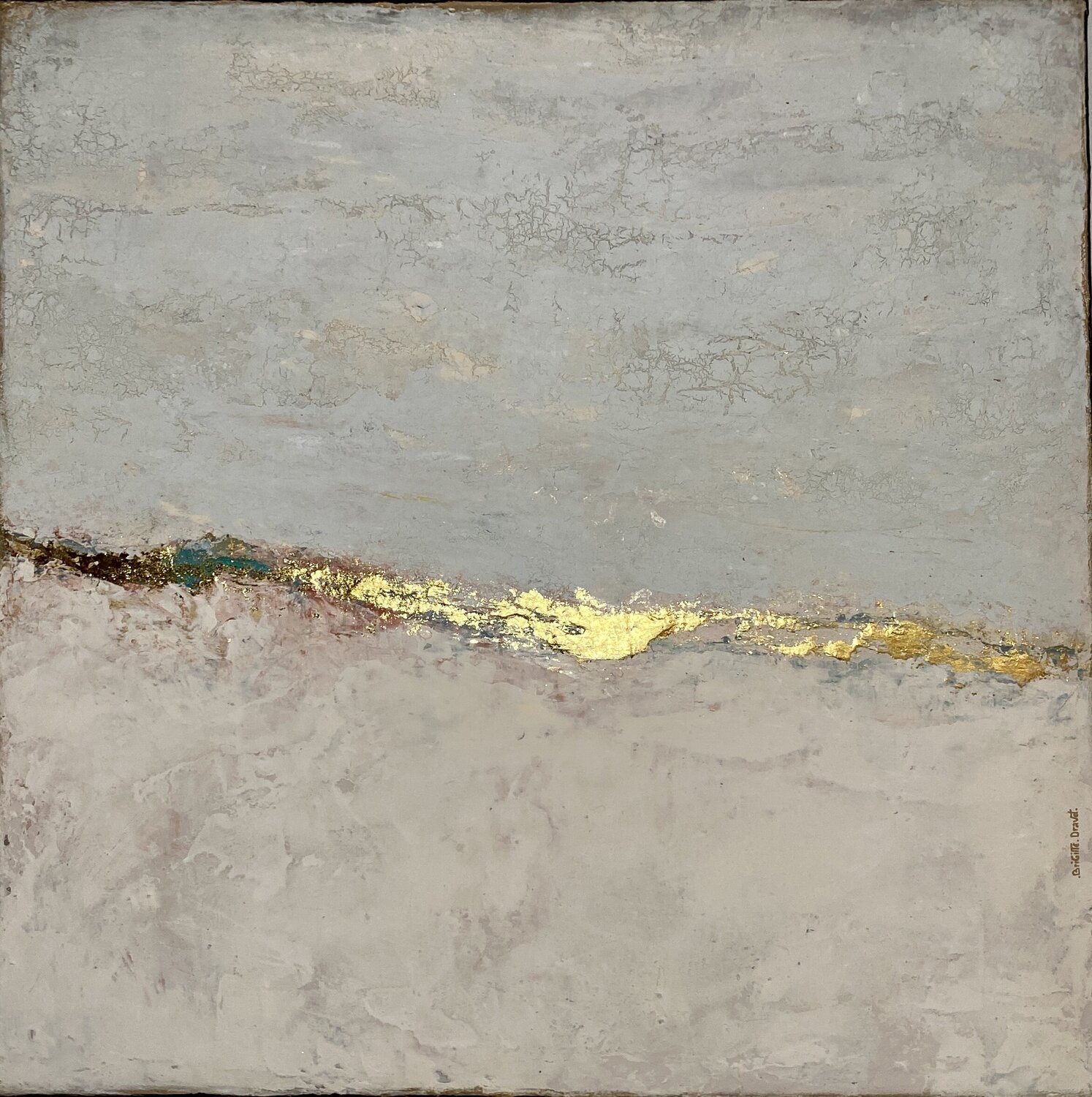 Voyage dans la lumiere Brigitte Dravet