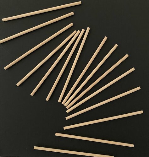 Pensieri in movimento Elisa Spagnoli