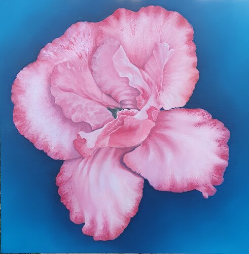 Un fiore regalato Elisa Spagnoli