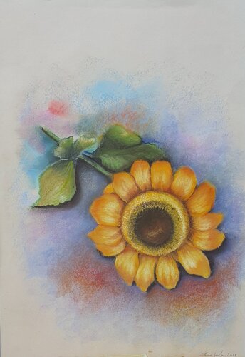 Girasole by Elisa Spagnoli, 소묘 for Sale on Singulart