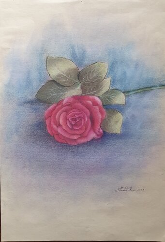 Una rosa van Elisa Spagnoli, Tekening te koop op Singulart