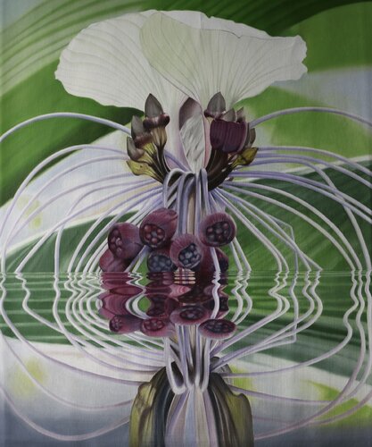 WHITE BAT by Enzo FORGIONE, 회화 for Sale on Singulart