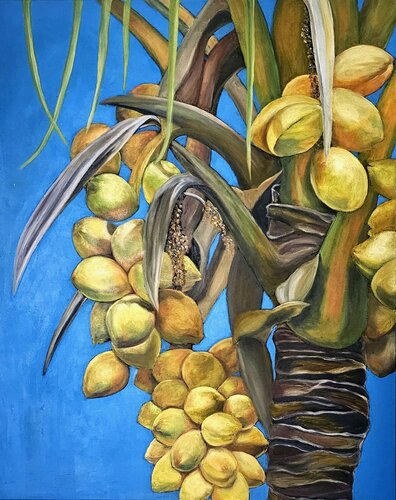 Kokosnüsse van Eva Vogt, Schilderij te koop op Singulart