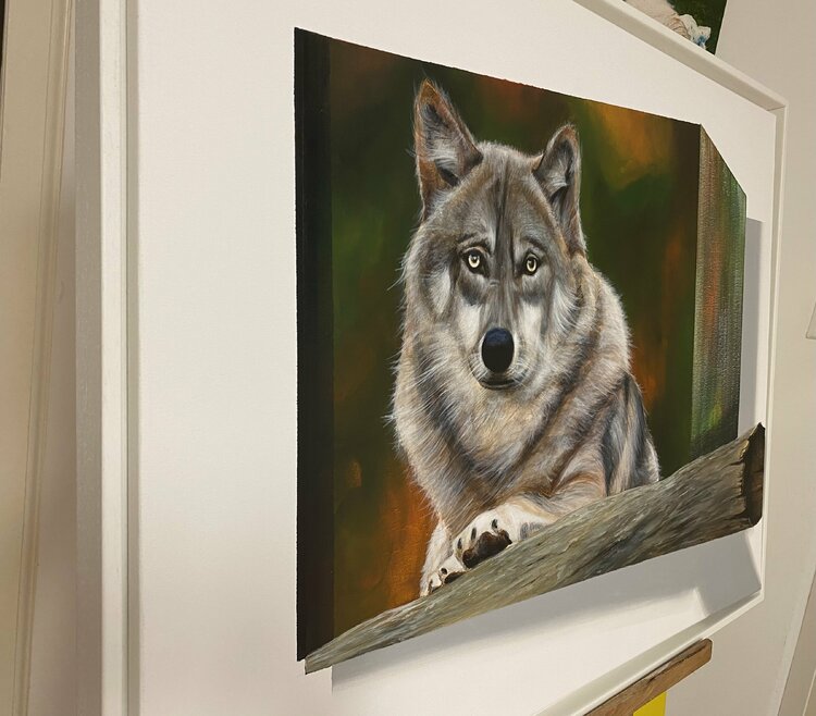 wolf Eka Peradze