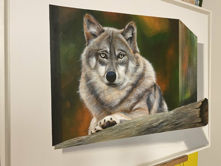 wolf Eka Peradze