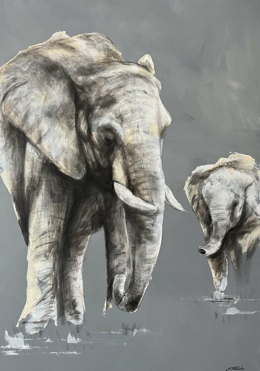 Family.  love.elephants.♥️ Eka Peradze