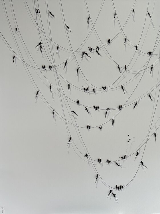 Action.Freedom. Love ❤️.♥️Ek Eka Peradze