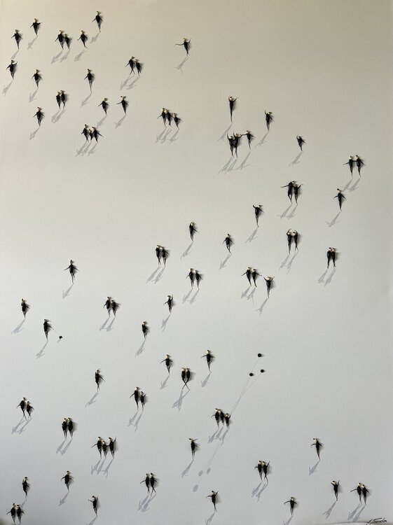 Action.Action.Freedom. Eka Peradze