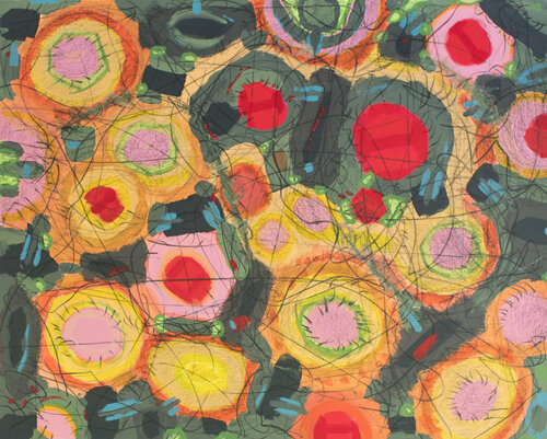 Chaotic Universe Jaye Alison