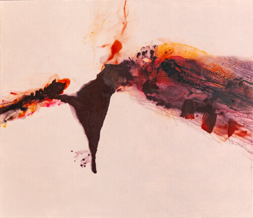 The chaos of dissolution Weronika Dyląg