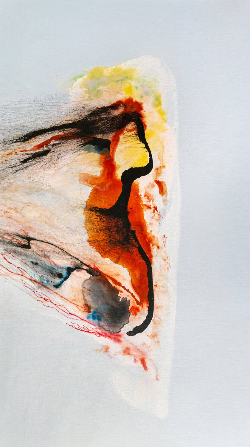 The Attractor Weronika Dyląg