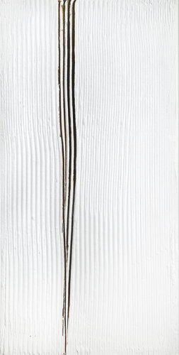 Zebra van CLAUDIA AMADESI, Schilderij te koop op Singulart