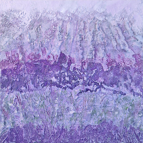 Lavanda CLAUDIA AMADESI