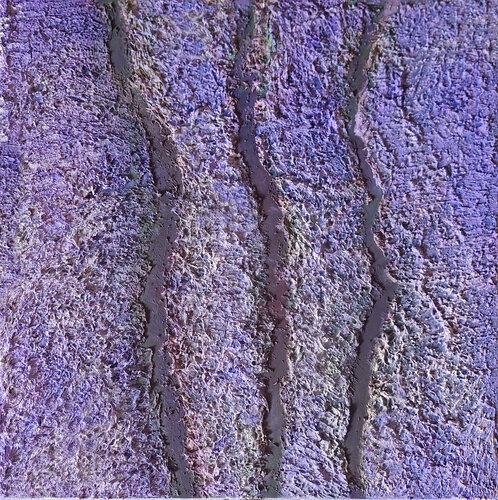 Tra i filari di lavanda van CLAUDIA AMADESI, Schilderij te koop op Singulart