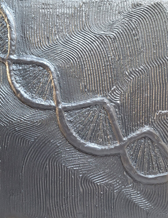 DNA CLAUDIA AMADESI