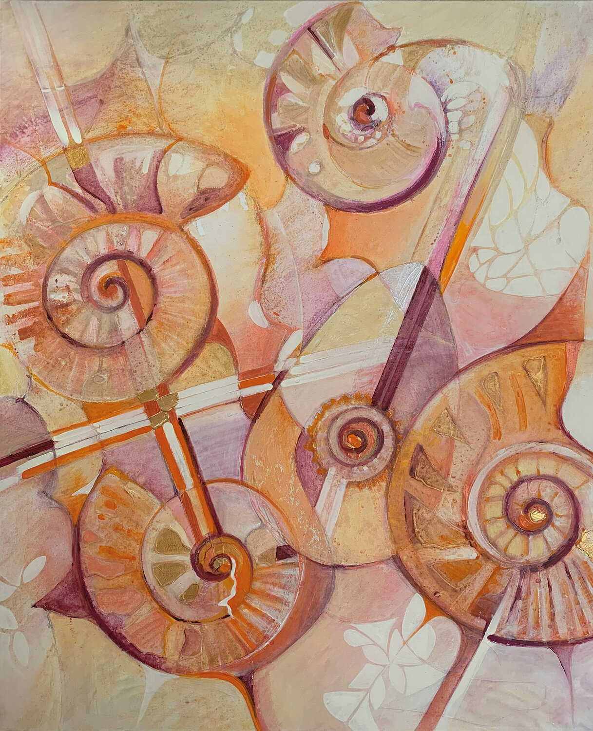 Nautilus CLAUDIA AMADESI