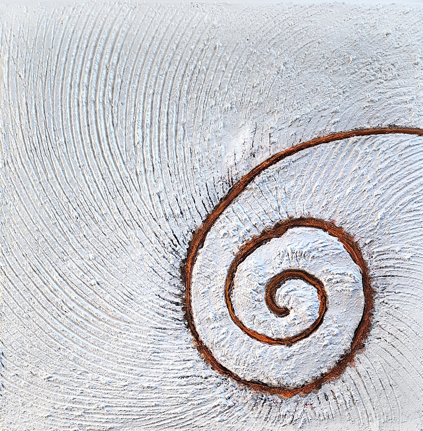 Fractalis CLAUDIA AMADESI