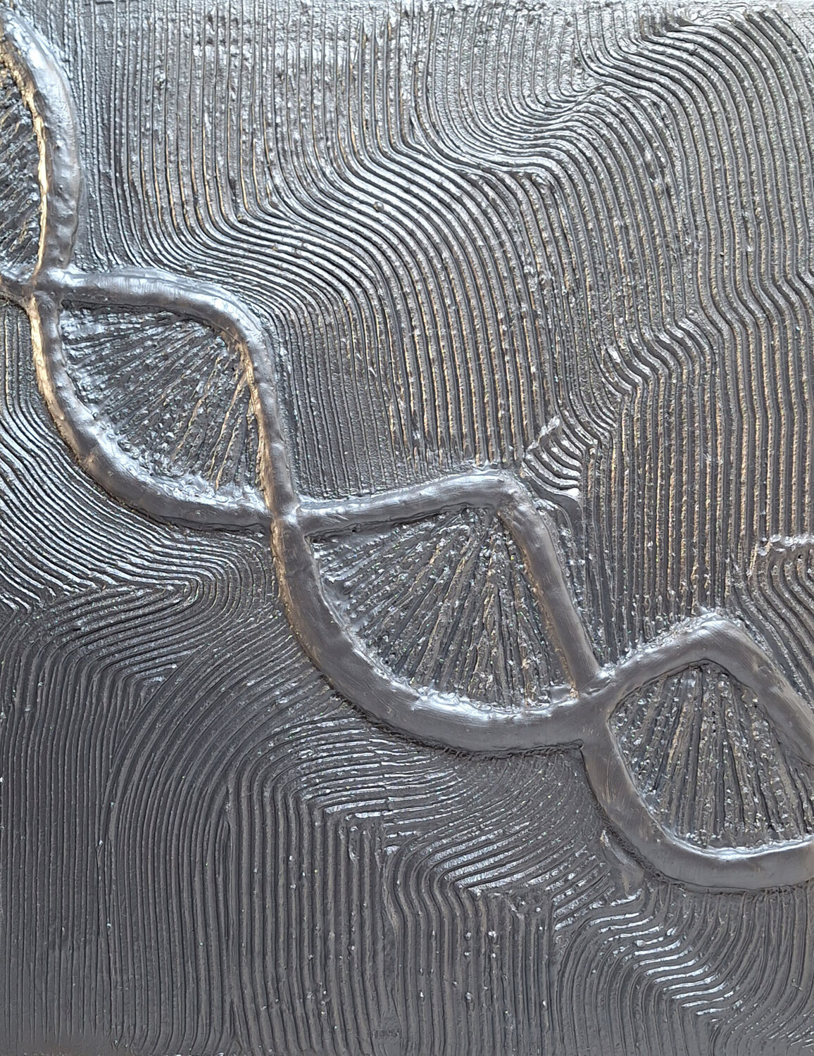 DNA CLAUDIA AMADESI