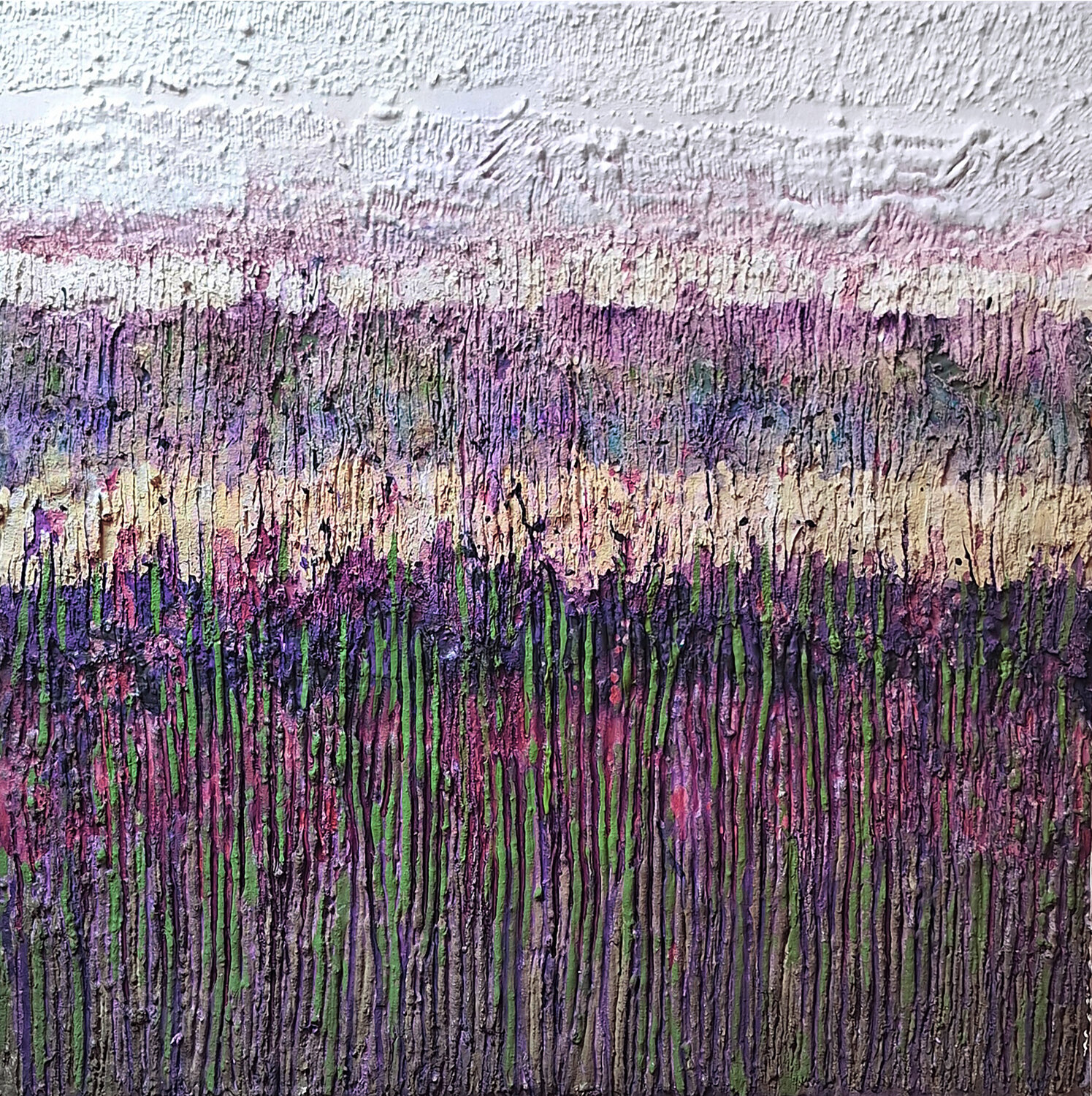 Campi di lavanda CLAUDIA AMADESI