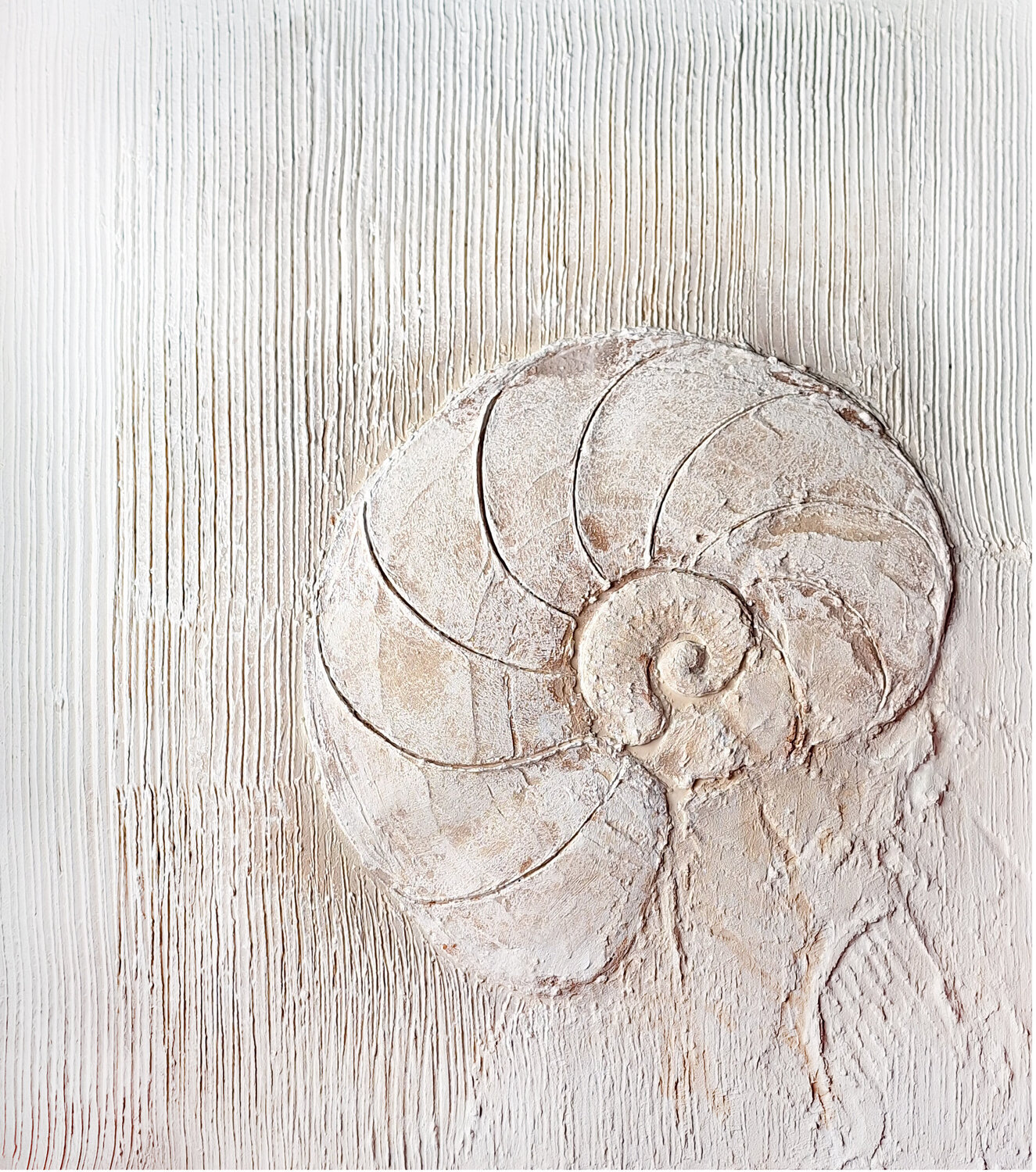 Ammonite CLAUDIA AMADESI