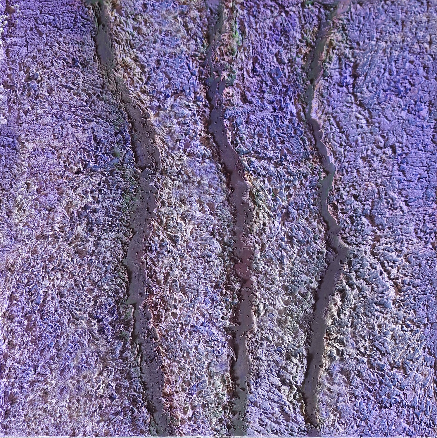 Tra i filari di lavanda CLAUDIA AMADESI Origineel schilderij te koop