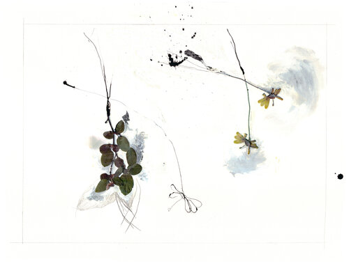 WOODS FLOWER 2 (sur papier Arches) di Suzanne Marcelle, Pittura in vendita su Singulart