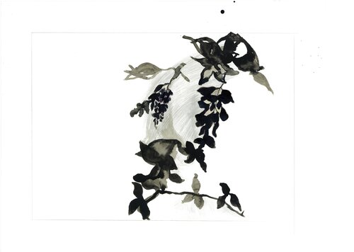 Sombra 4 by Suzanne Marcelle, 기타 매체 for Sale on Singulart