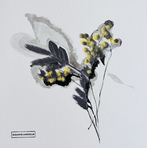 Mimosa 3 de Suzanne Marcelle, Dibujo a la venta en Singulart