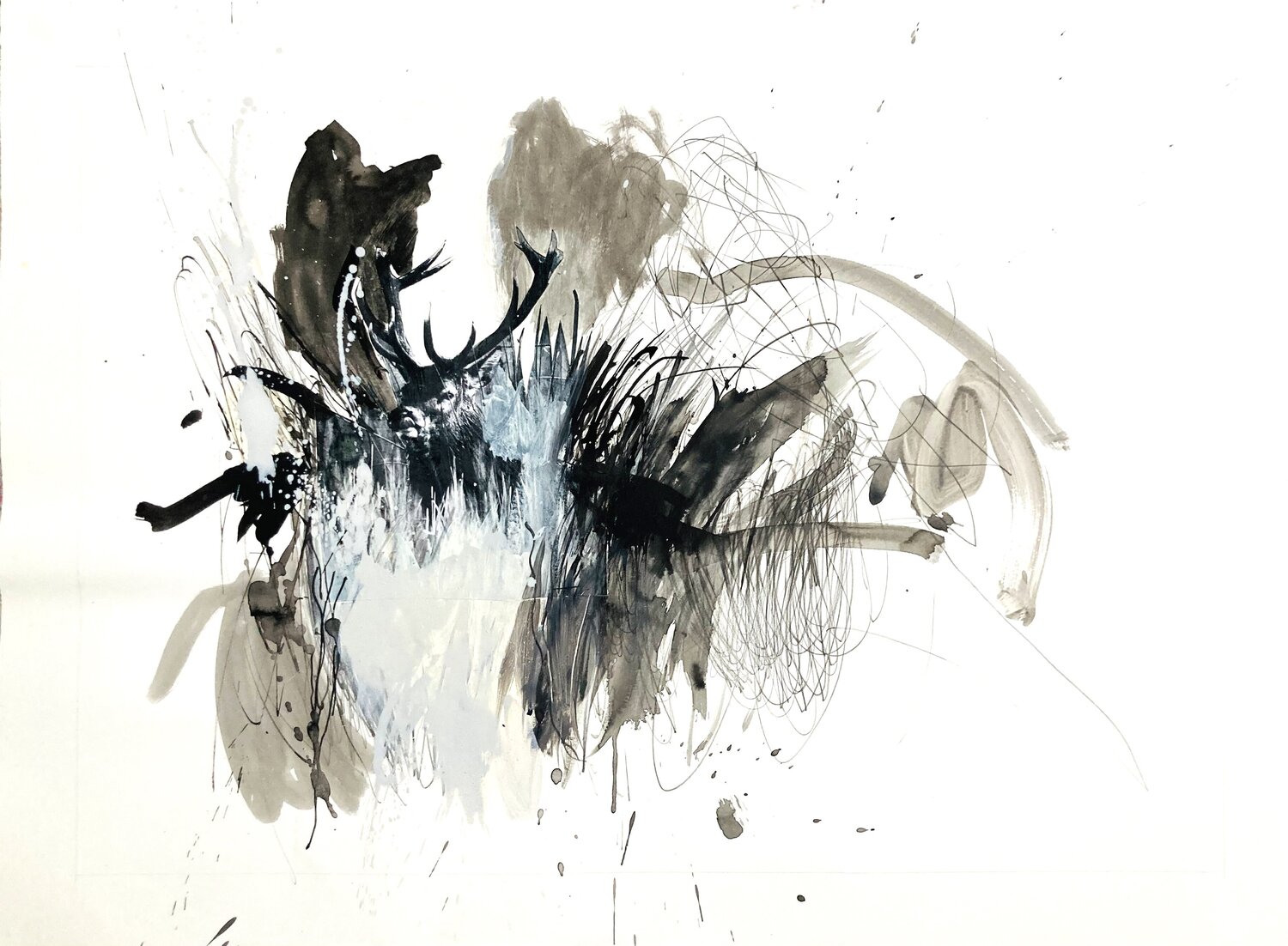 WOODS DEER (sur papier Arches) Suzanne Marcelle