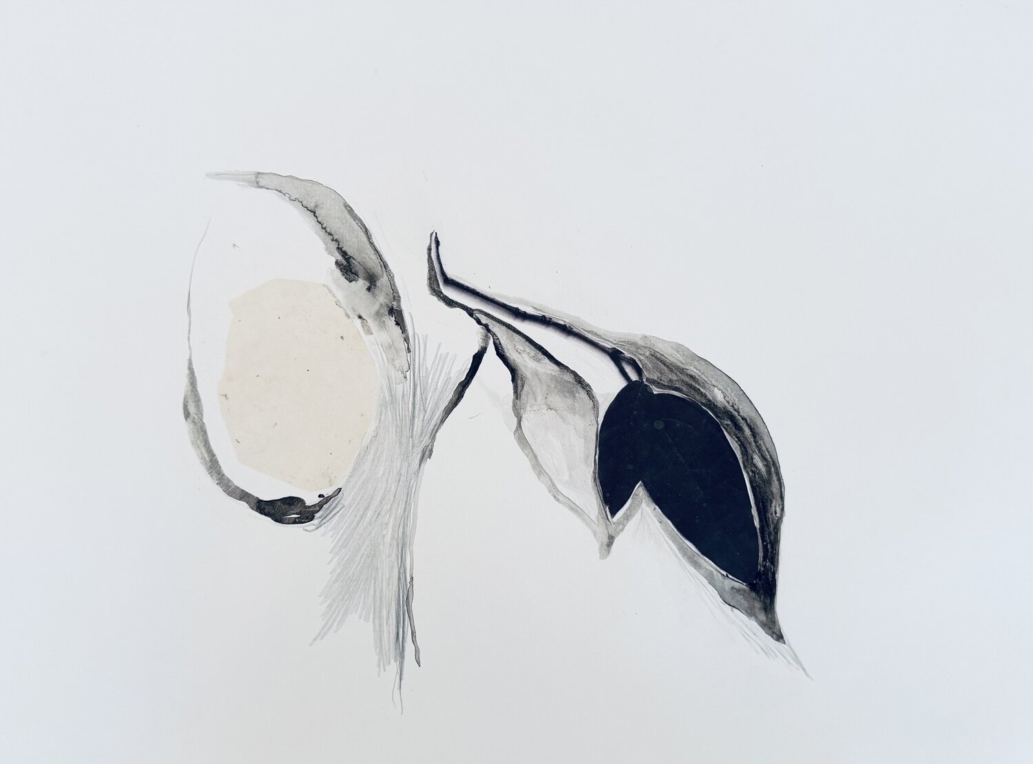 AUTOMNE 3 Suzanne Marcelle