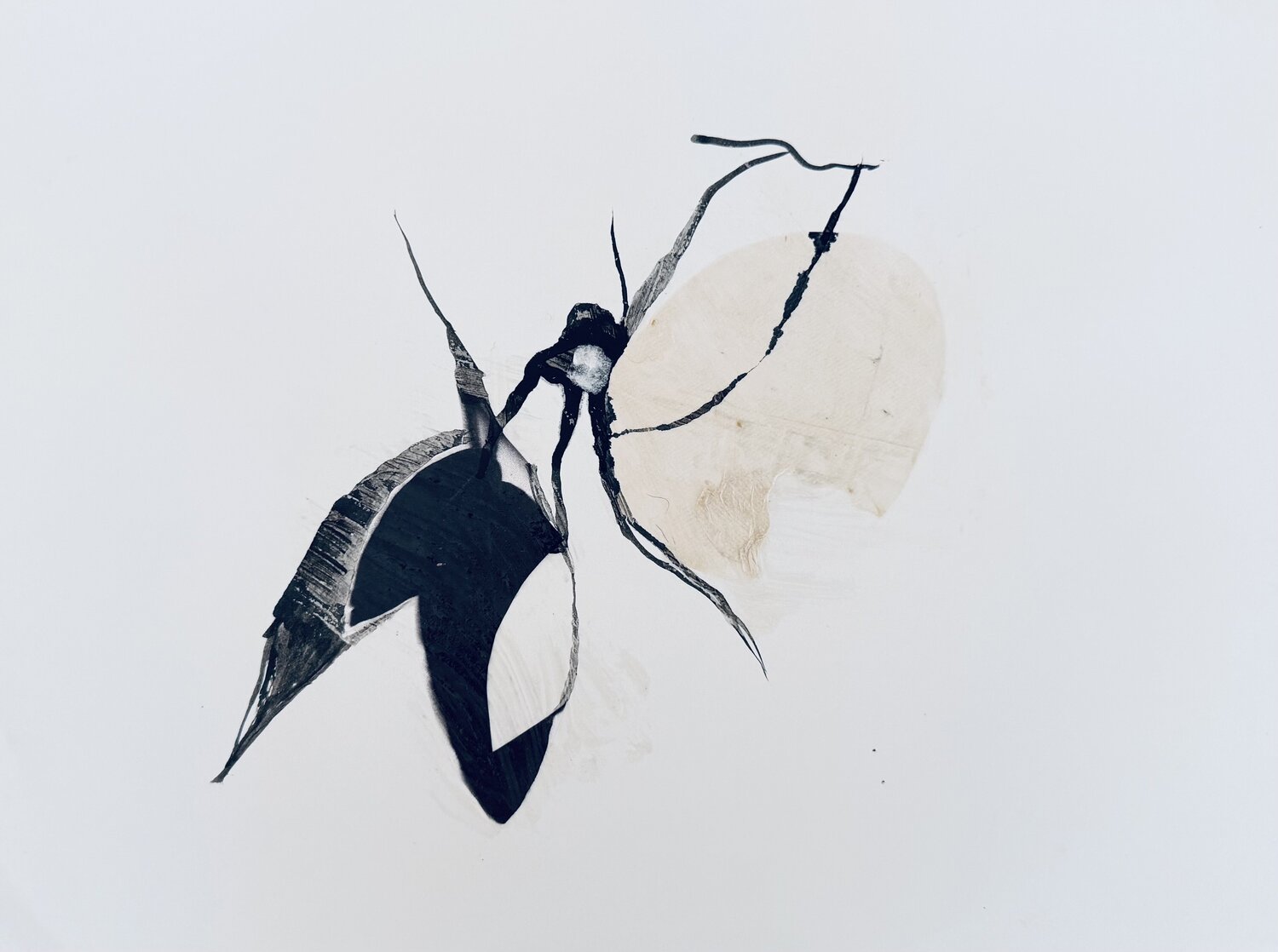 AUTOMNE 4 Suzanne Marcelle
