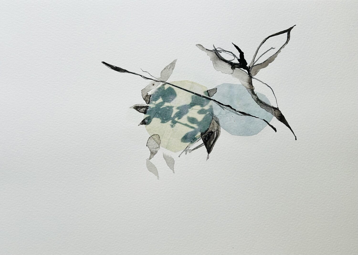 Winter 2 Suzanne Marcelle