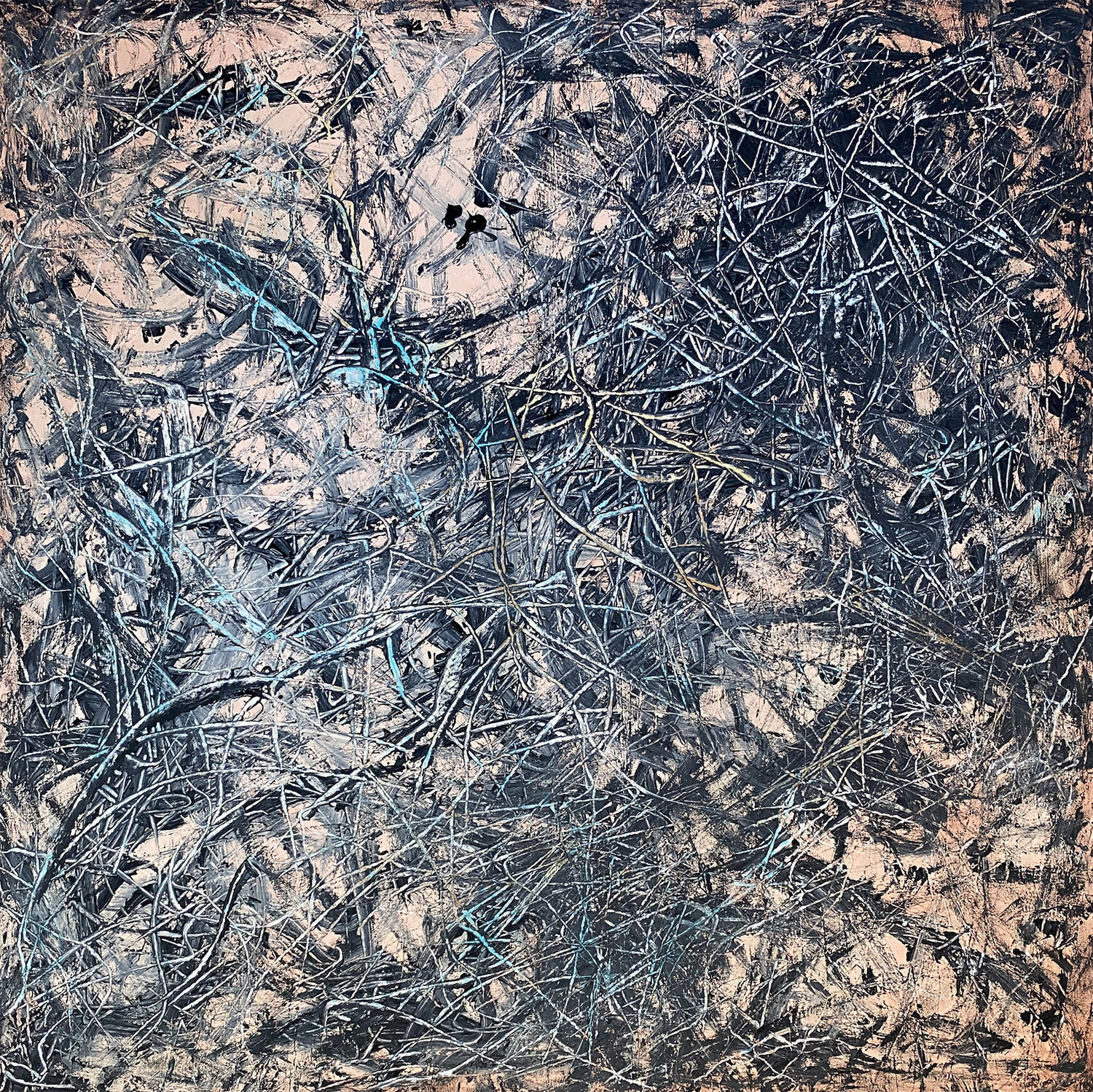 Interactions Zaira Dzhaubaeva Rivera