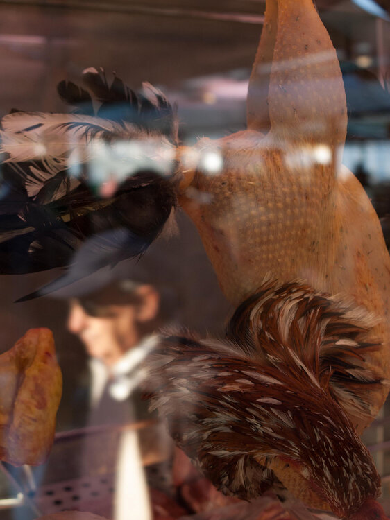 Venizia - Shop Window Barry Kootchin