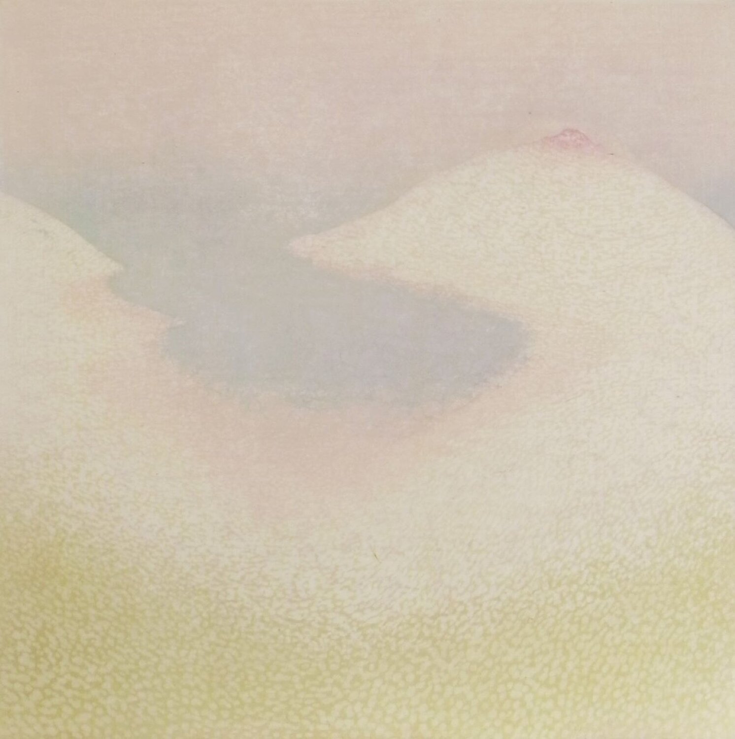Irie Shizuka Nakanishi
