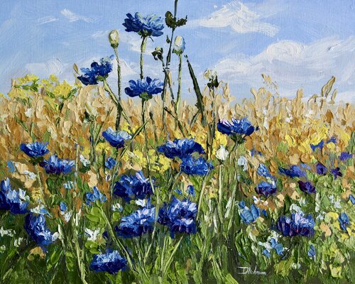 Cornflowers Liza Illichmann