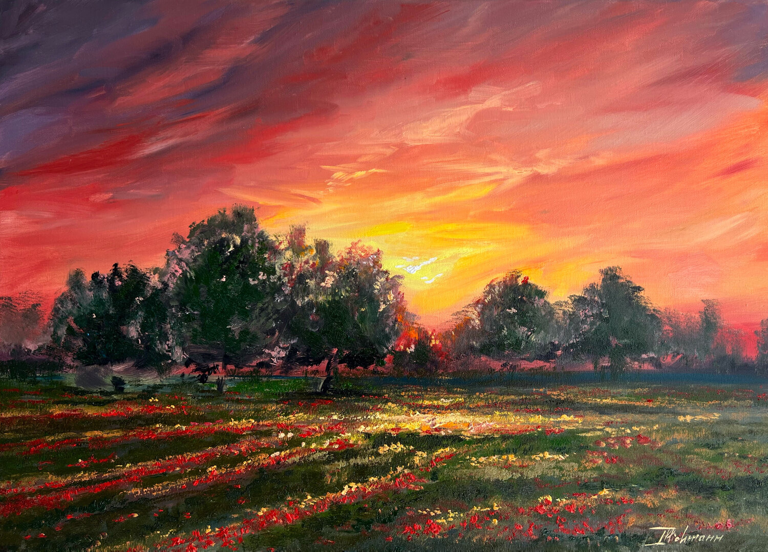 Vermilion Vista Liza Illichmann