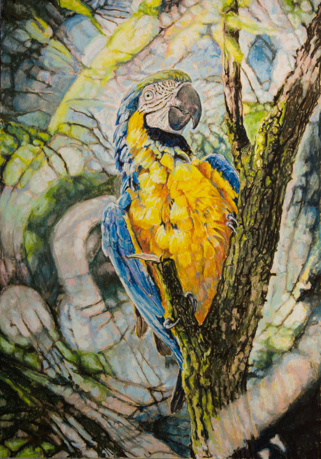 Colour of a Heart I Asta Caplan