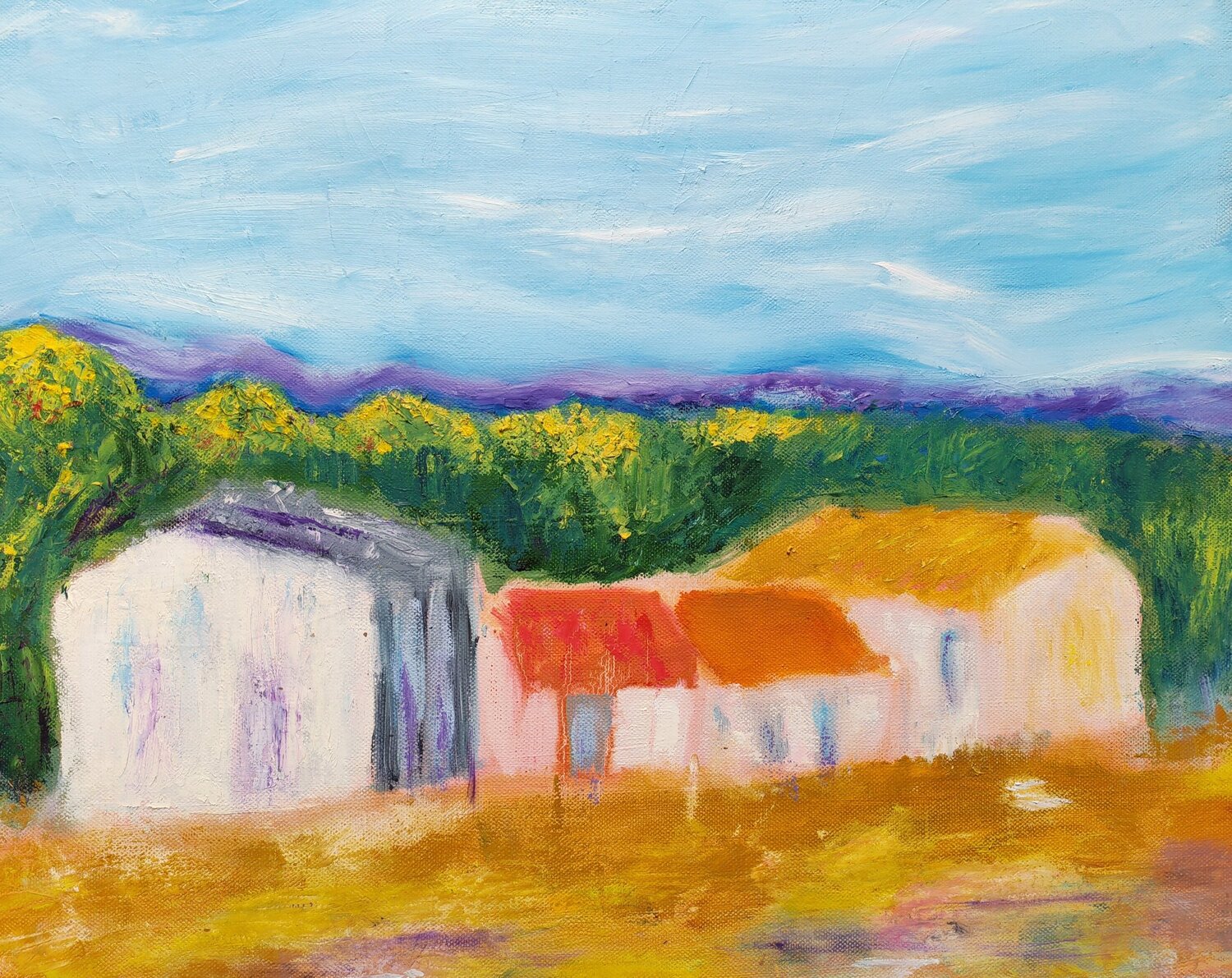 Farm at Paizay le Chapt Sally Churcher