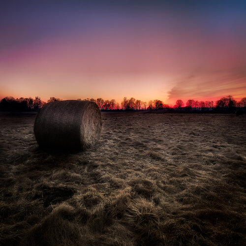 Embers Over the Silent Field by Luis dos Santos, Photography for Sale on Singulart