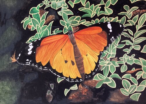 金斑蝶 von Demi Ng, Werk auf Papier kaufen auf Singulart