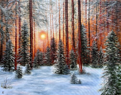 Orange sunset in the winters forest Tanja Frost