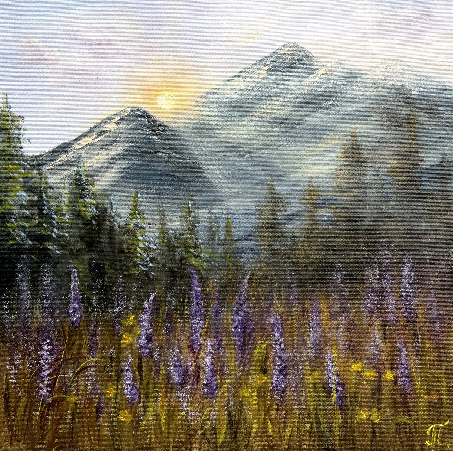 Where the Morning Begins Tanja Frost