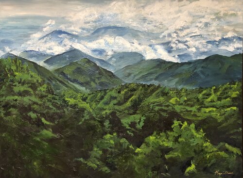 Mountain View van Morgan Dreese, Schilderij te koop op Singulart