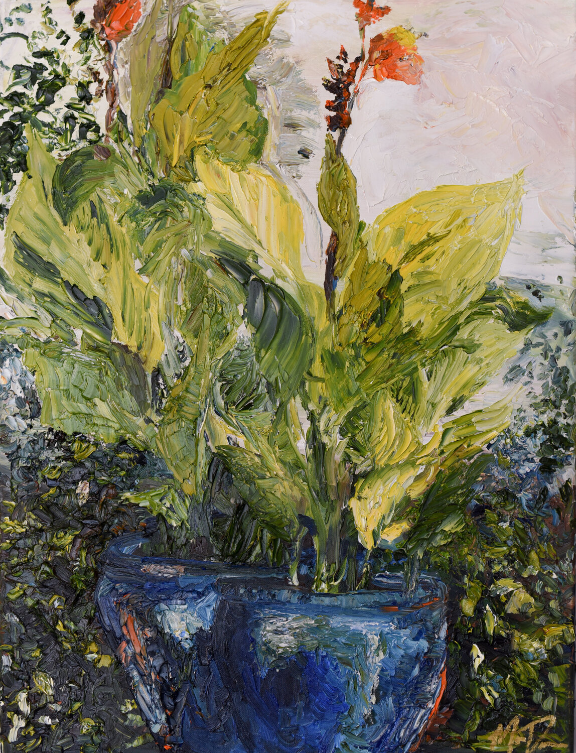 Spirted Canna Morgan Dreese