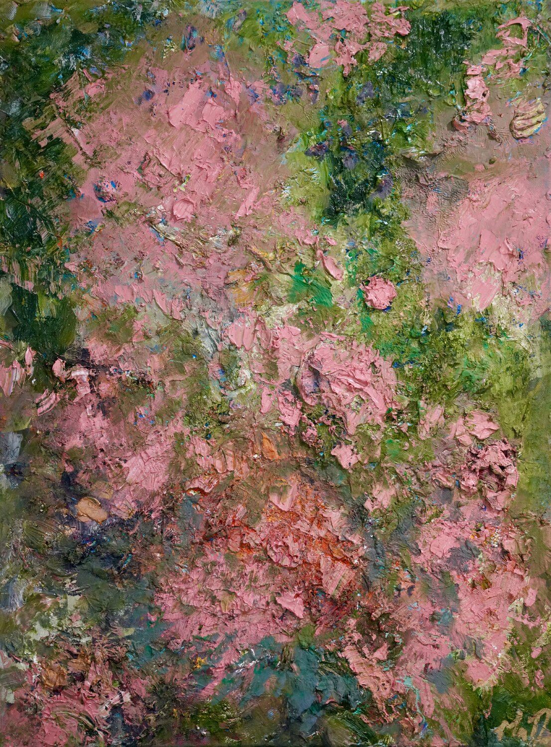 Sunrise Rhododendron Morgan Dreese